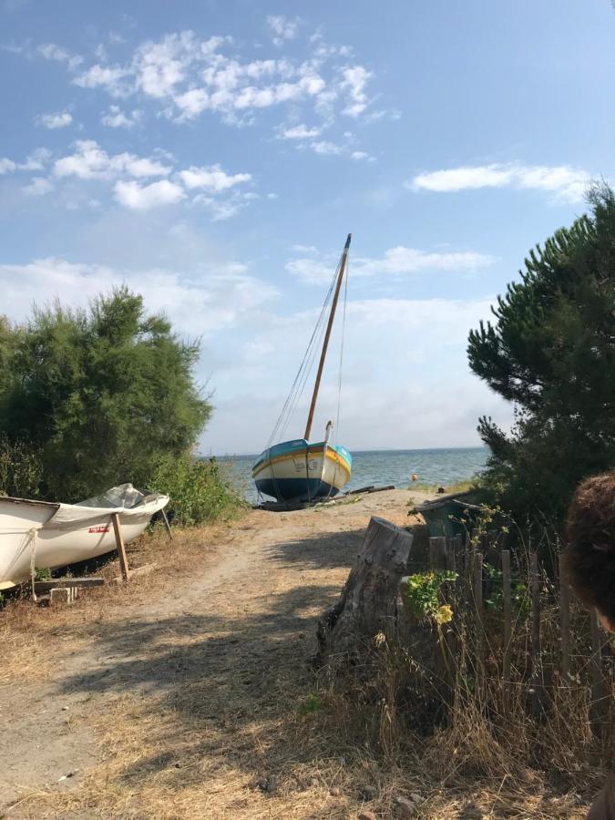Le Gite Des Tontons Saint-Laurent-de-la-Salanque Dış mekan fotoğraf